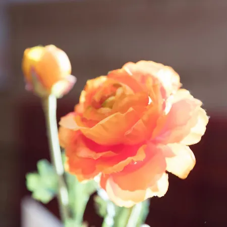 Hotel Steigenhaus Untermunkheim