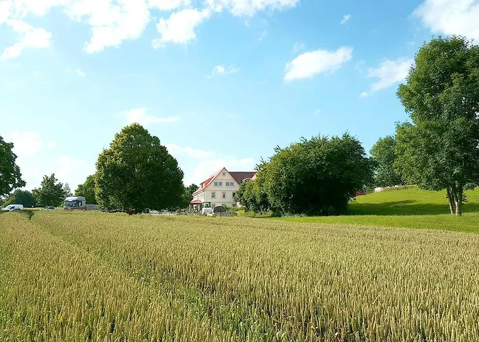 فندق Steigenhaus 3*